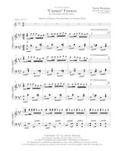 Carmen Fantasie - reduction for marimba and piano