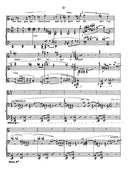 Medieval Latin Lyrics (Three Medieval Songs) - Digital (Not Printable)