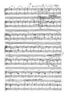 Carnival of the Beautiful Dresses - Digital (Not Printable)