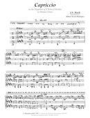 Capriccio on the departure of his beloved brother to distant climes - Digital (Not Printable)