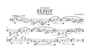 Elegy for Solo Bassoon - Digital (Not Printable)