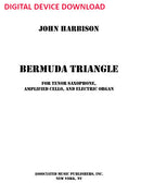 Bermuda Triangle - Digital (Not Printable)