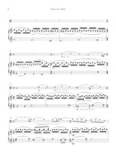 Viola Concerto - reduction for viola and piano