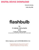 flashbulb - Digital (Not Printable)