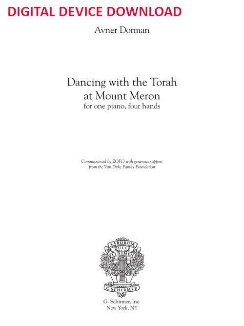 Dancing with the Torah at Mount Meron - Digital (Not Printable)