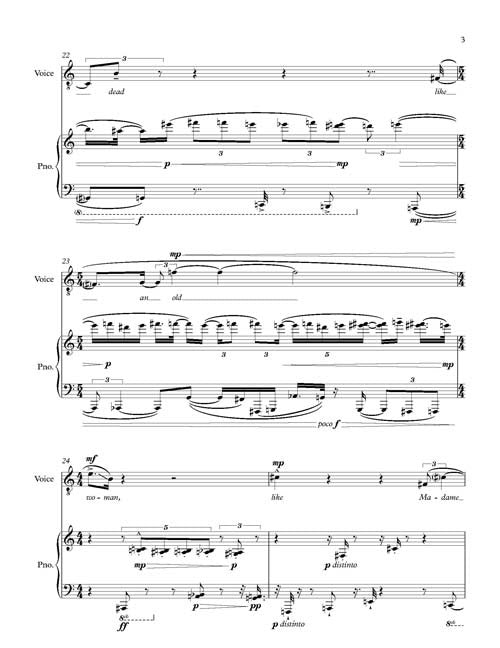 Tony: Ending the Life for tenor and piano - Digital (Not Printable)