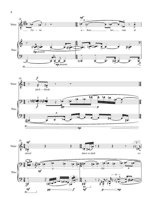 Tony: Ending the Life for tenor and piano - Digital (Not Printable)