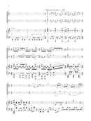 Double Concerto - reduction for violin cello and piano - Digital (Not Printable)