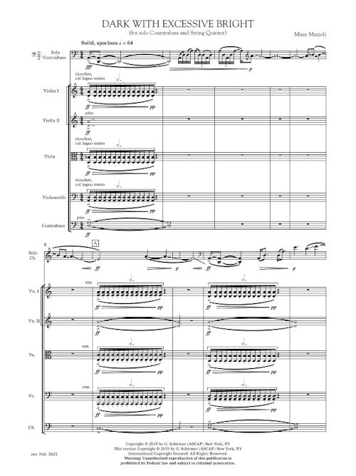 Dark with Excessive Bright (for contrabass and string quintet) - Digital (Not Printable)