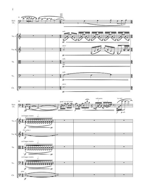 Dark with Excessive Bright (for contrabass and string quintet)