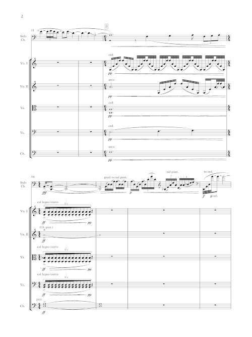 Dark with Excessive Bright (for contrabass and string quintet)