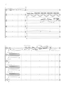 Dark with Excessive Bright (for violin and string quintet)