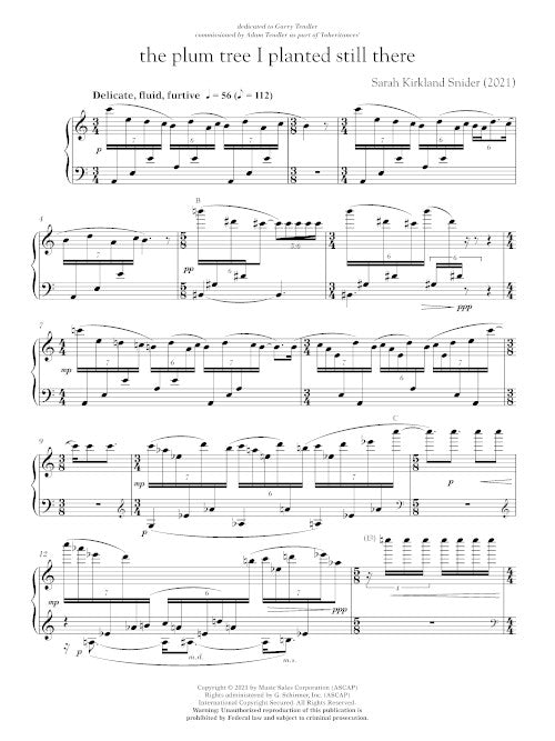 the plum tree I planted still there (for piano) - Digital