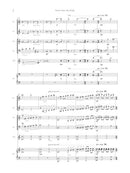 Into the Night (for  Pierrot ensemble plus percussion)