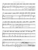 The Flight of the Bumblebee (for violin and piano)