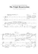 Martial Arts Cycle (Four Sonatas for violin, cello, piano)