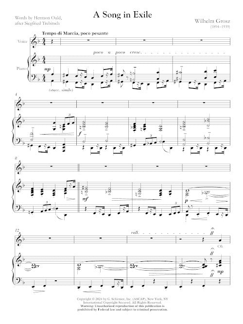 A Song in Exile (for voice and piano) - Digital (Not Printable)