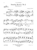 Sonata Brevis No. 2 (Monothematic) for piano - Digital