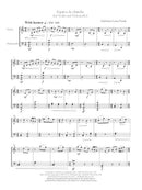 Zapatos de chincha - Digital (Not Printable)