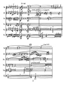 Impromptus and Cadenzas