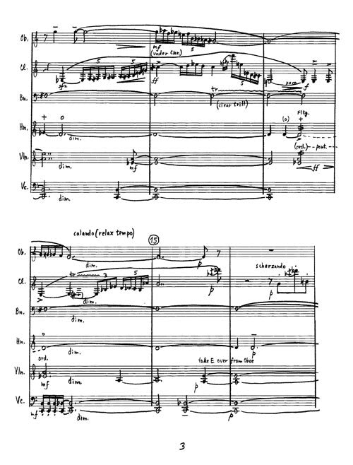 Impromptus and Cadenzas