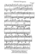 Celestial Navigation