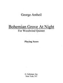 Bohemian Grove at Night