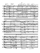 Bohemian Grove at Night