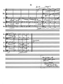 Bohemian Grove at Night