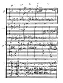 Cuarteto de Arcos II