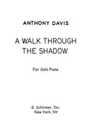 A Walk Through the Shadow