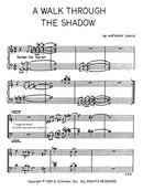 A Walk Through the Shadow