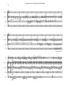 Concerto for Violin and a Rock Band