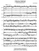 Udacrep Akubrad, for two solo percussion (chamber version) - Digital (Not Printable)