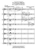 Ccollanan Maria