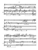 To a Traveler - Trio for clarinet, violin and piano