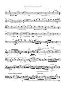 Colored Field (Cello Concerto)