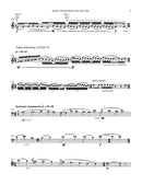 Colored Field (Cello Concerto)