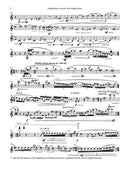 Colored Field (English Horn Concerto) - Digital (Not Printable)