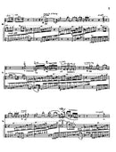 Passacaglia-Variations - Digital (Not Printable)