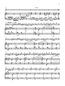 Concerto for Bassoon - piano reduction - Digital (Not Printable)