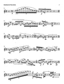 Sonatina for Flute Alone