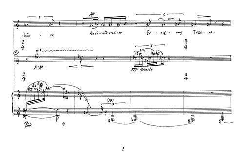 Die Violine