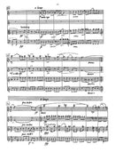 Brandeis Sunday - Digital (Not Printable)