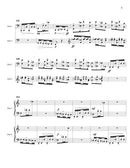 Danza de los Saqsampillos (marimba version) - Digital (Not Printable)