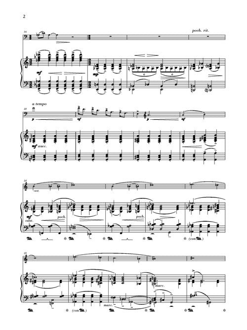 Remembering Schumann
