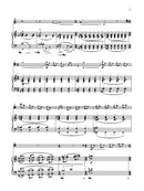 Remembering Schumann