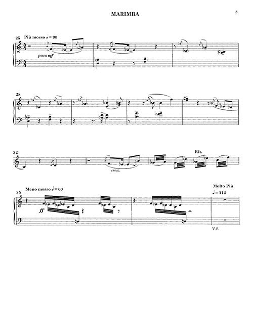 Piece for Pro Piano Steinway D and marimba One