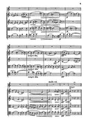 Theme and Variations, Op. 80