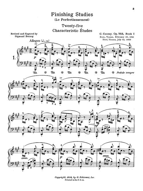 Perfection in Style: 25 Finishing Studies